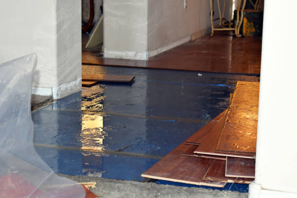 Professional Burst Pipe Cleanup technician working in Clarkrange, TN